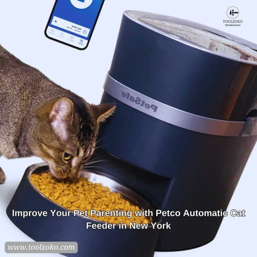 Improve Your Pet Parenting with Petco Automatic Cat Feeder in New York